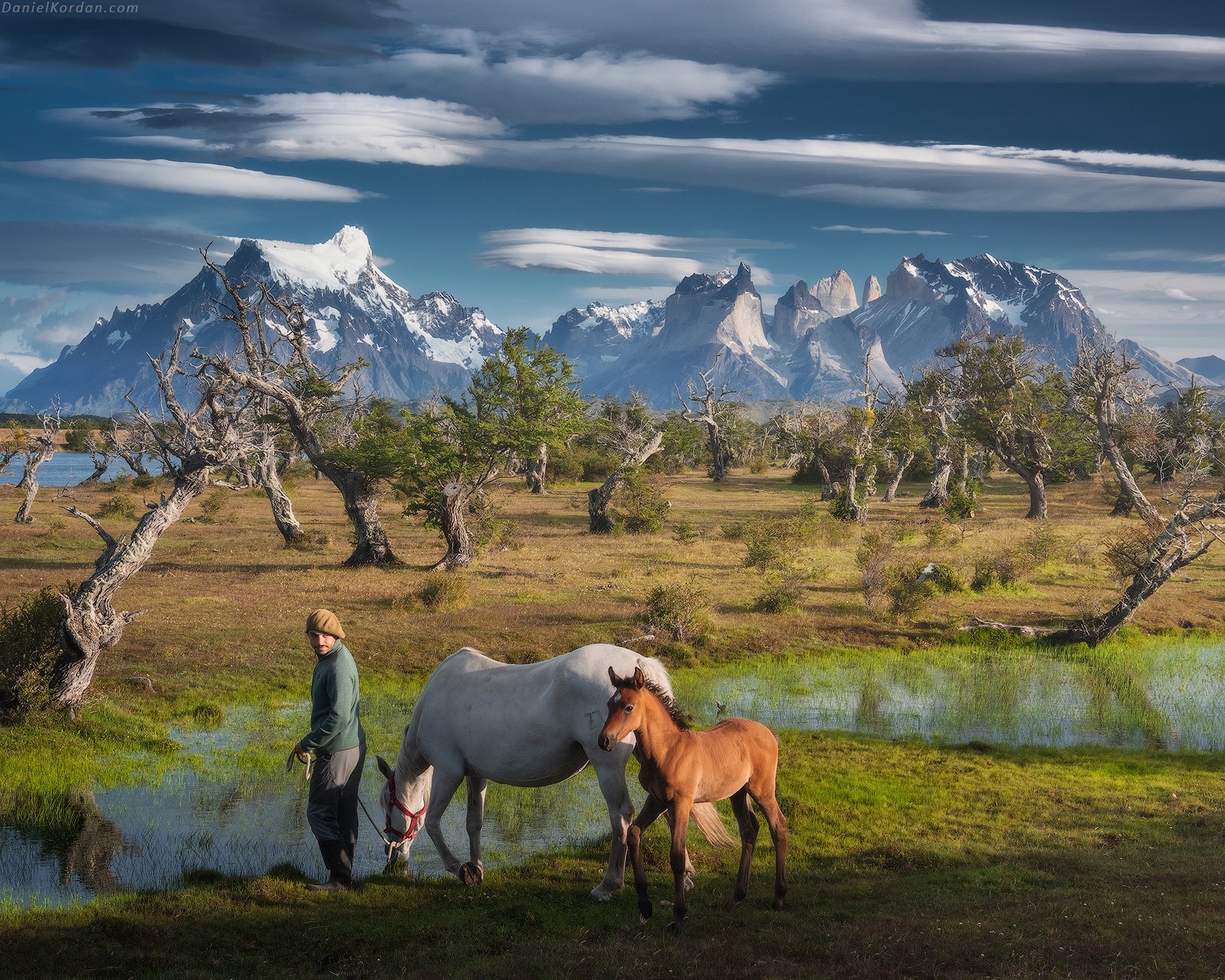 Пейзаж Даниила Коржонова - лошади и горы