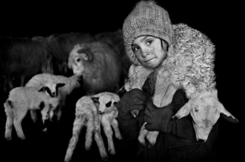 Жизнь трансильванских пастухов в серии работ Иштвана Керекеша