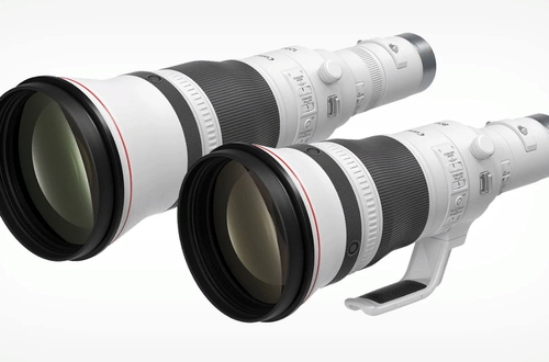 Новые объективы Canon RF 800mm F5.6L IS USM и RF 1200mm F8L IS USM открывают новые возможности для профессиональных фотографов, снимающих удалённые объекты.