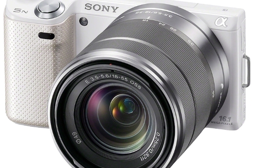 Тест беззеркального фотоаппарата Sony NEX-5N: при съемке болота Бабы-яги я остался незамеченным