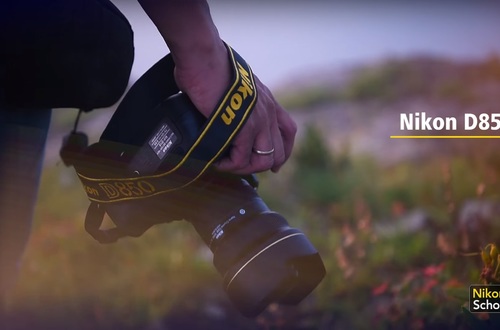 Амбассадоры Nikon тестируют зеркальную камеру D850