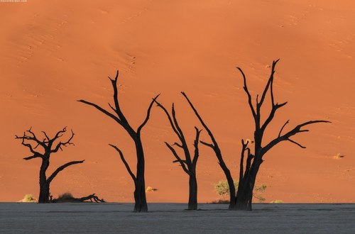 Пустыня Намибии, как рай для фотографа