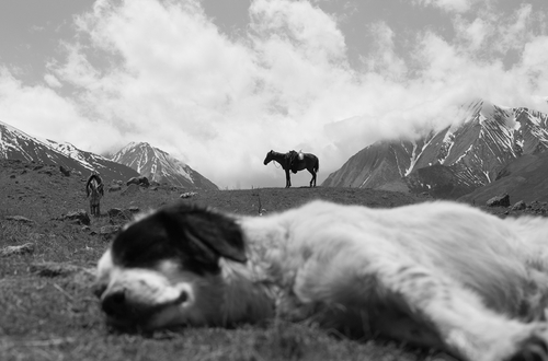Я и мое стадо. Документальный фотопроект Евгении Шабаевой о жизни грузинских чабанов