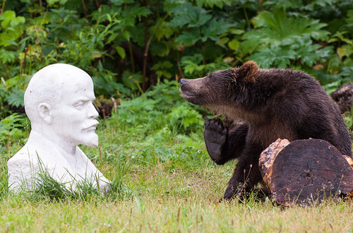 Сергей Горшков: Мои знакомые медведи