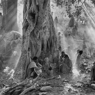 Photographs by Sebastião SALGADO / Amazonas Images