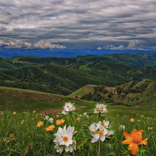 Spring on the pass Gum-Bashi.Russia,North Caucasus.