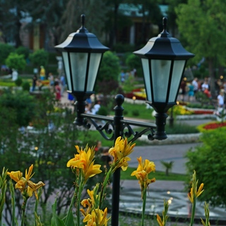 парк цветник