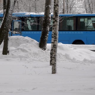Синий автобус