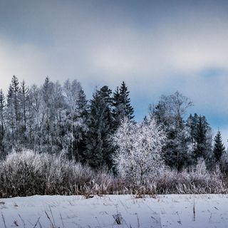 DSC_6730-Панорама