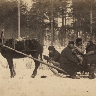 Вильям Каррик. Группа крестьян в санях. 1876-1878.