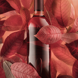 a bottle of red rose wine on the background of autumn leaves. autumn mood and relaxation