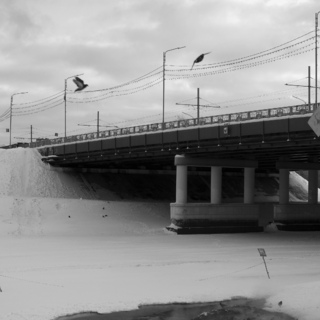 Птицы. Мост. Зима.