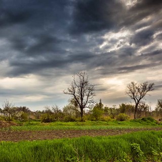 rural landscape in spring