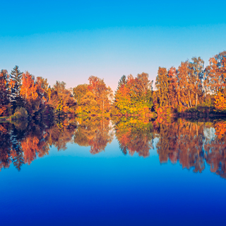 Reflections and autumn