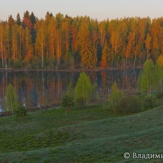 Андреапольские озера 25