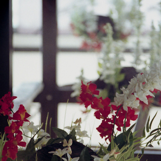 Цветы и окно