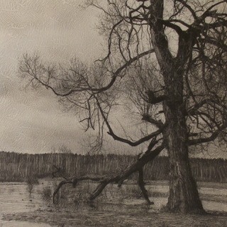 Владимир Скворцов, пейзаж с водой