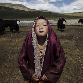 Кевин Фрайер (Kevin Frayer), Канада.
Профессиональный конкурс. Номинация «Люди». 1-е место. «Кочевники на Тибетском горном плато».
© Kevin Frayer, Canada, Winner, Professional, People, 2016 Sony World Photography Awards