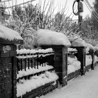 Забор и снег...