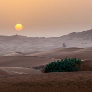 Закат в пустыне. ОАЭ.