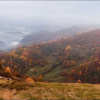 С видом на осень