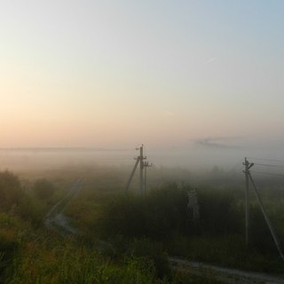 Утро в полях