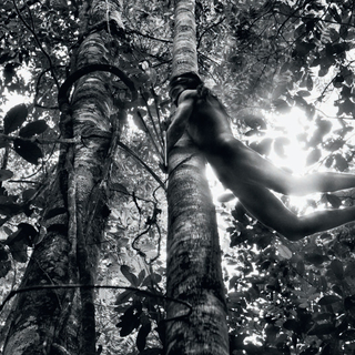 Photographs by Sebastião SALGADO / Amazonas Images