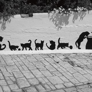 Греческие кошки. Панагия, о