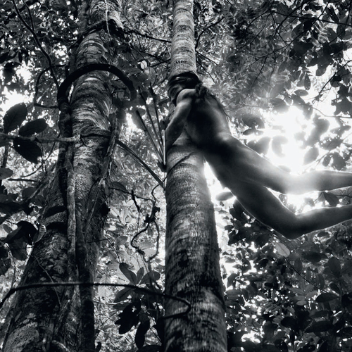 Photographs by Sebastião SALGADO / Amazonas Images / Выставка Себастьяно Сальгадо