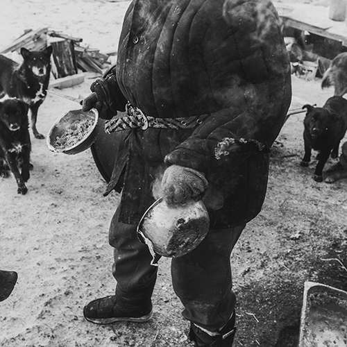 Собаки на сене 2 / Антон Климов, Иркутск.