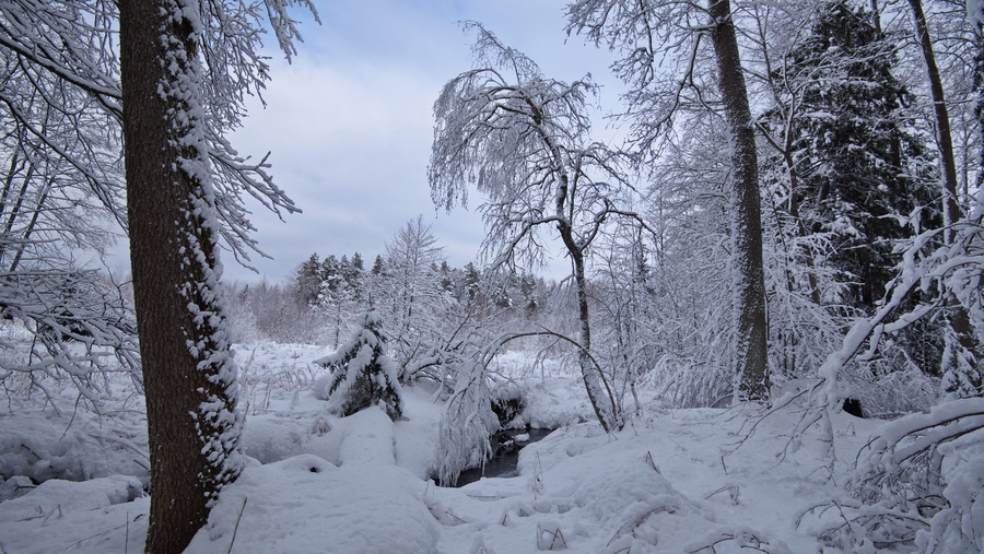 Речка Ивановка. После снегопада.