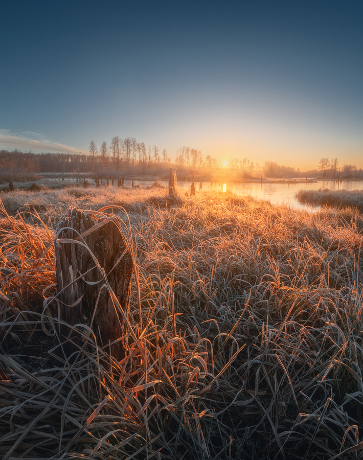 Морозное утро на реке Мильчус
