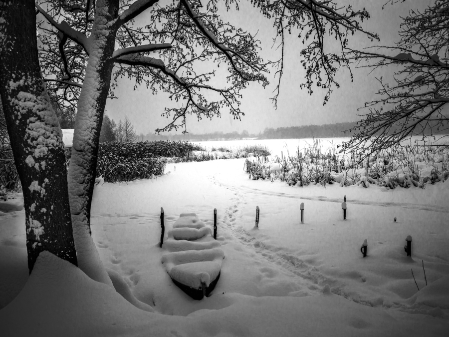 Тамара Цилиакус пейзаж Озеро.ipg