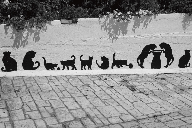 Греческие кошки. Панагия, о