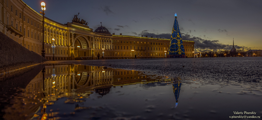 Главная елка Санкт-Петербурга