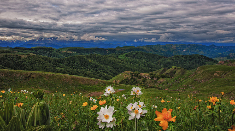 Spring on the pass Gum-Bashi.Russia,North Caucasus.