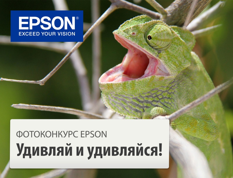 Международный некоммерческий конкурс любительской фотографии EPSON «Удивляй и удивляйся» 