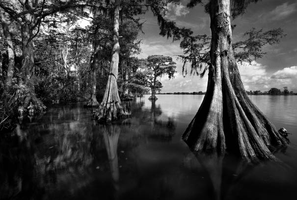 Ansel Adams. Apalachicola. 1998