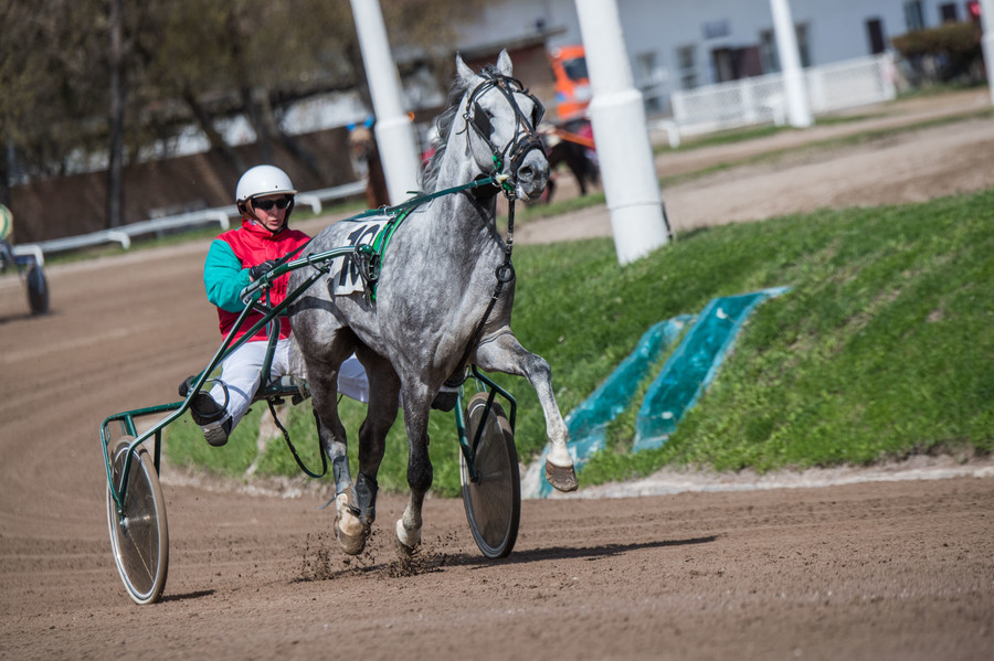 Объектив AF-s Nikkor 80-400 f/4.5-5.6 VR, 1/2500 c, f/7,1 ISO 500