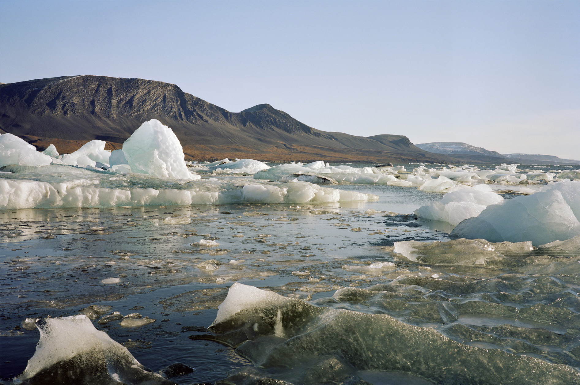 Выставка «Новая Земля. От Ледника Розе до залива Абросимова»
