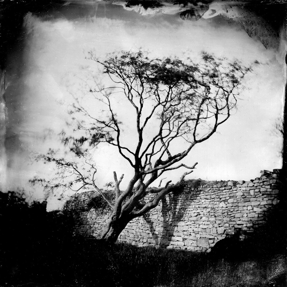alex_boyd_-_the_old_tree_graveyard_ballycastle_ireland