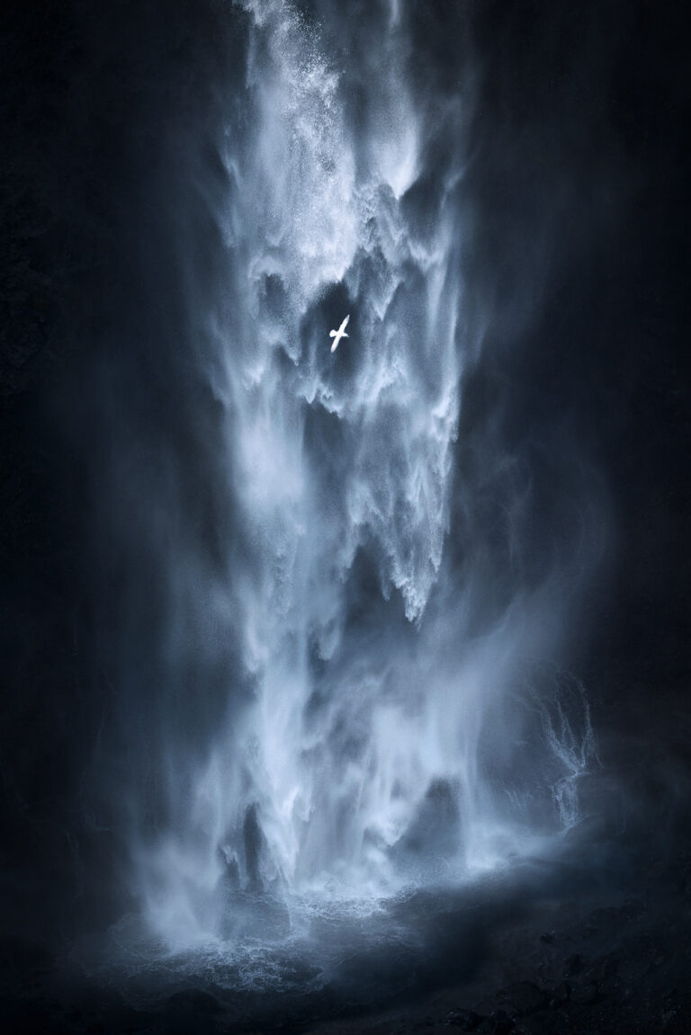 escape-kai-hornung-768x1151