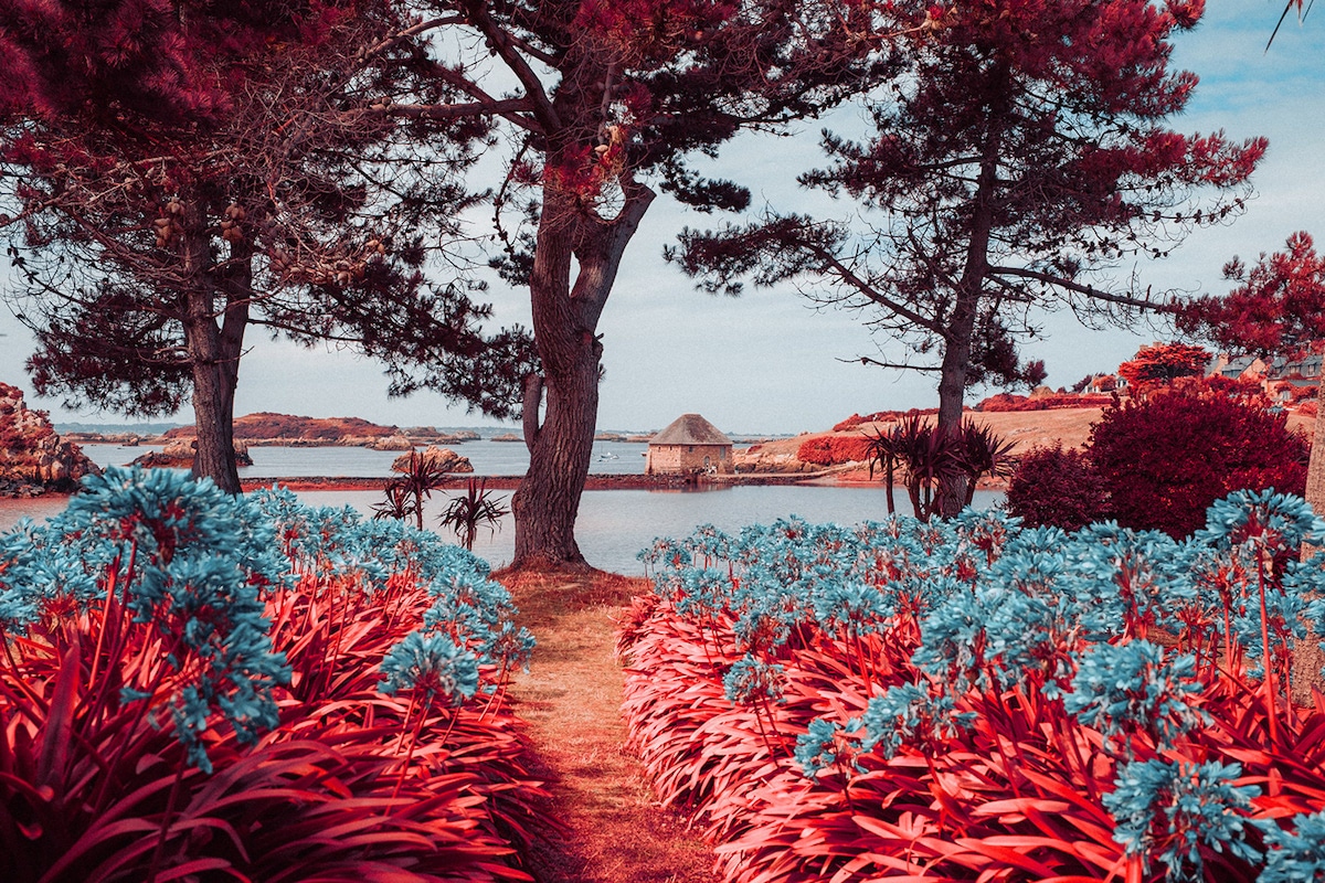 paolo-pettigiani-infrared-france-7-1