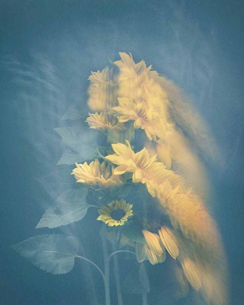 joyce-tenneson-sunflowers-1-819x1024