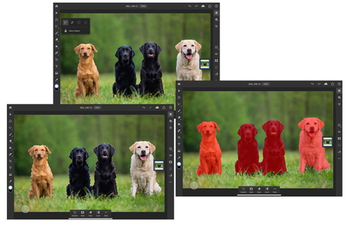 Adobe Photoshop для iPad получает функцию «Select Subject» с поддержкой AI