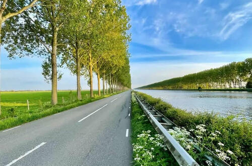 Столкновение двух миров: искусство Роба Хоймакерса