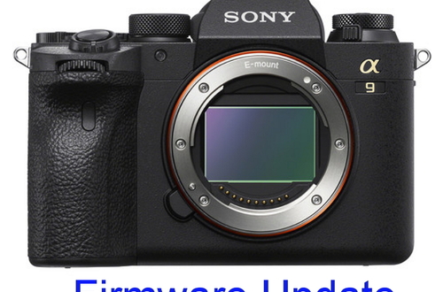 Sony обновила прошивку камеры a9 II до версии 1.01
