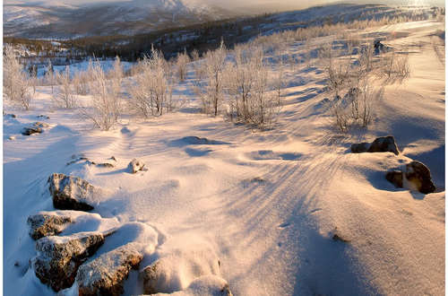 Практика Даниила Коржонова: съёмка зимой