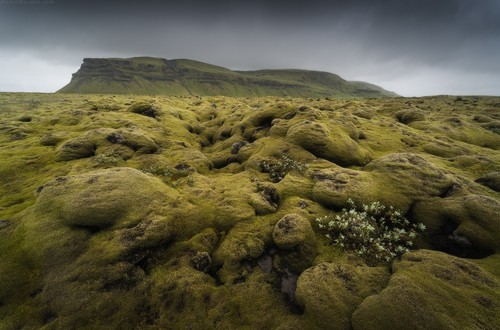 Пейзажный фототур на Фарерские острова. С 3 по 8 августа с Даниилом Коржоновым