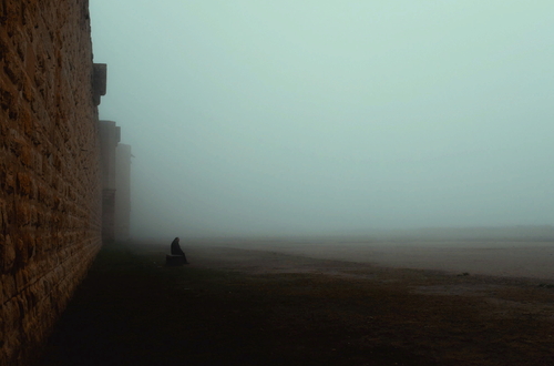 Фотограф Виктор Балагер запечатлел туманное пробуждение зимнего Камарга 